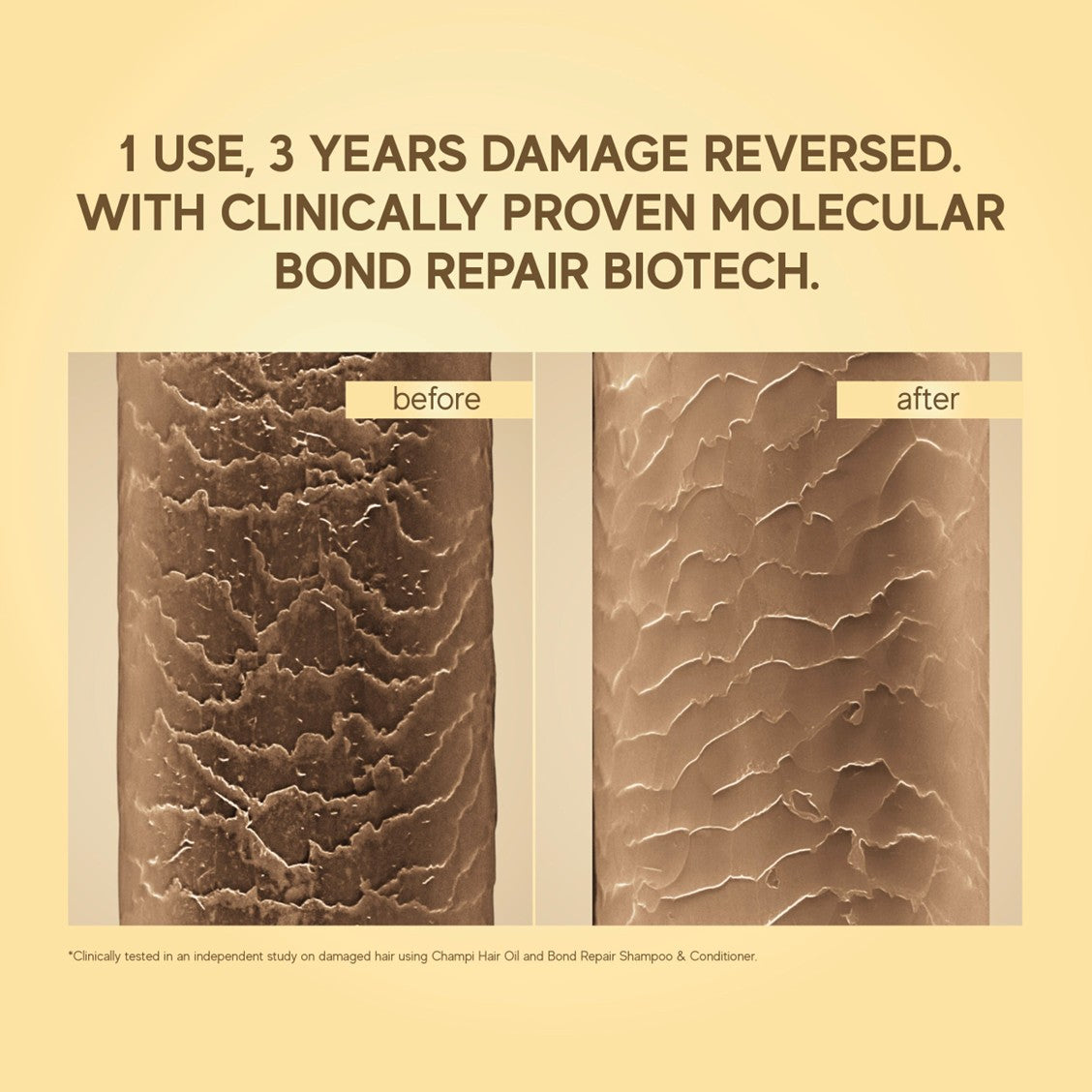 Before and after comparison of hair damage repair with text on a beige background