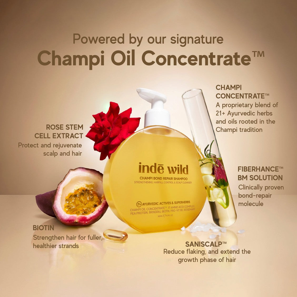 Indé Wild Champi Oil Concentrate product with ingredients and benefits on a beige background